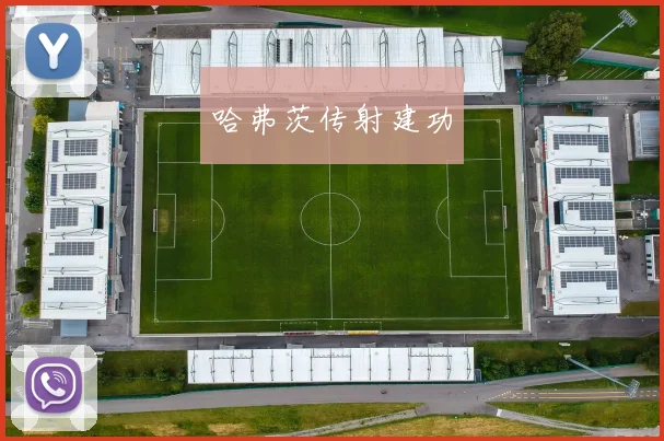 哈弗茨传射建功