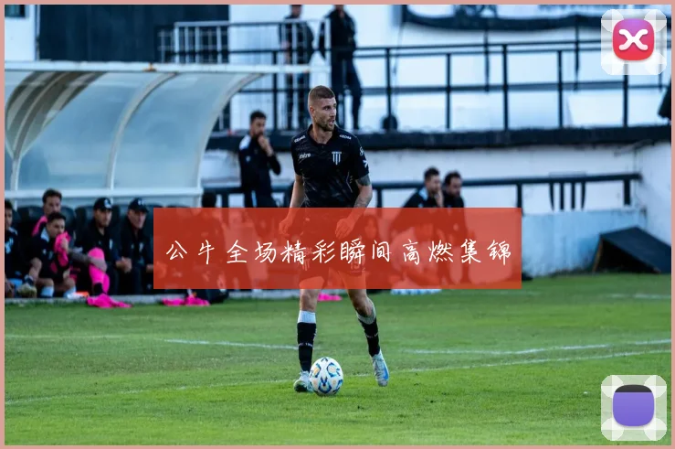 公牛全场精彩瞬间高燃集锦
