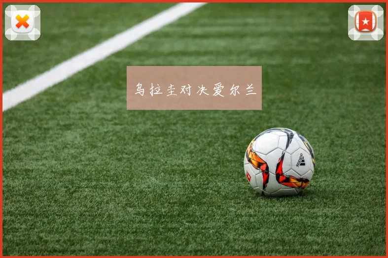 乌拉圭对决爱尔兰