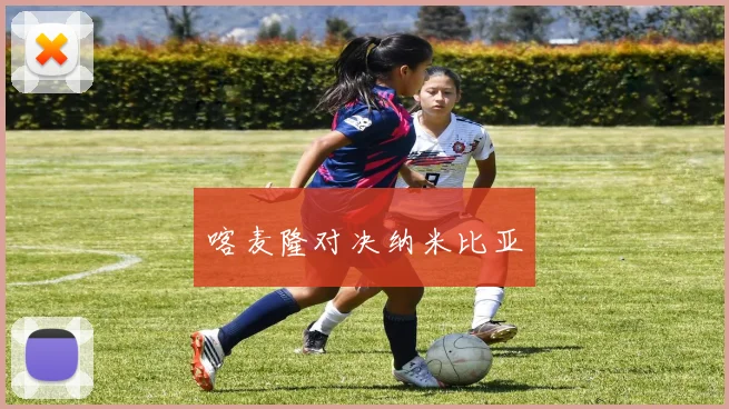 喀麦隆对决纳米比亚