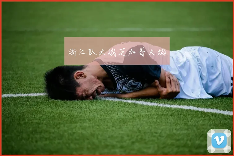 浙江队大战芝加哥火焰