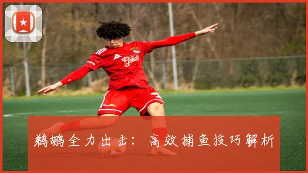 鹈鹕全力出击：高效捕鱼技巧解析