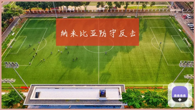 纳米比亚防守反击
