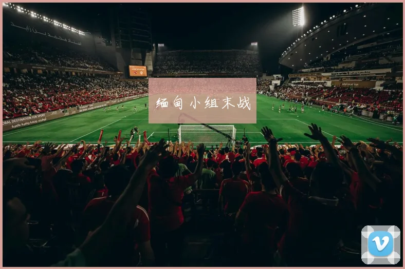 缅甸小组末战