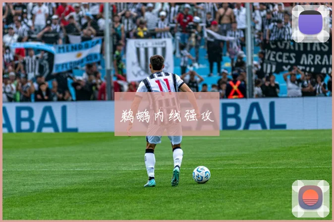 鹈鹕内线强攻