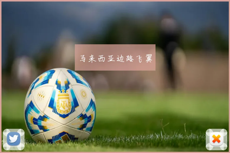 马来西亚边路飞翼