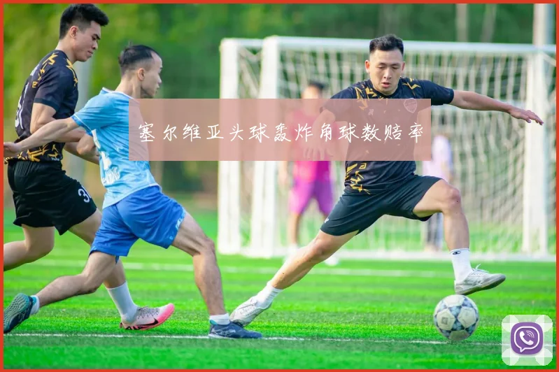 塞尔维亚头球轰炸角球数赔率