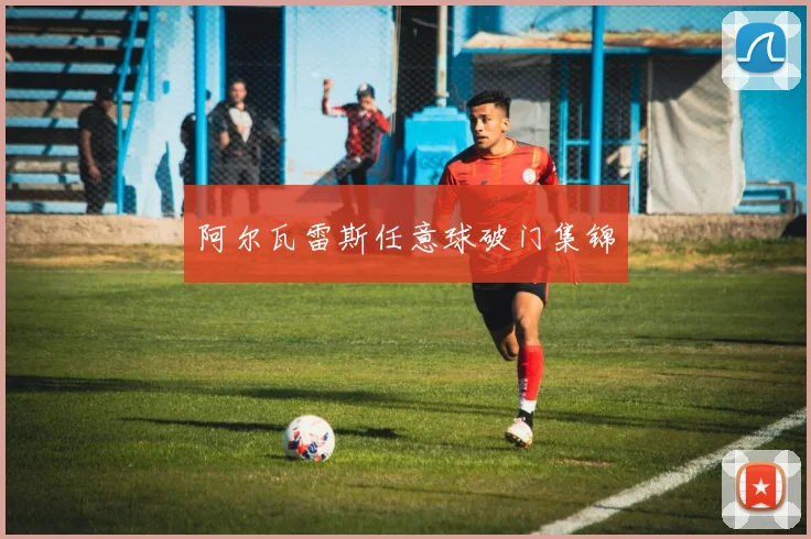 阿尔瓦雷斯任意球破门集锦