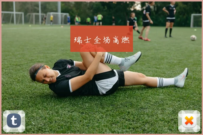 瑞士全场高燃