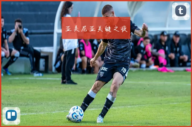 亚美尼亚关键之夜