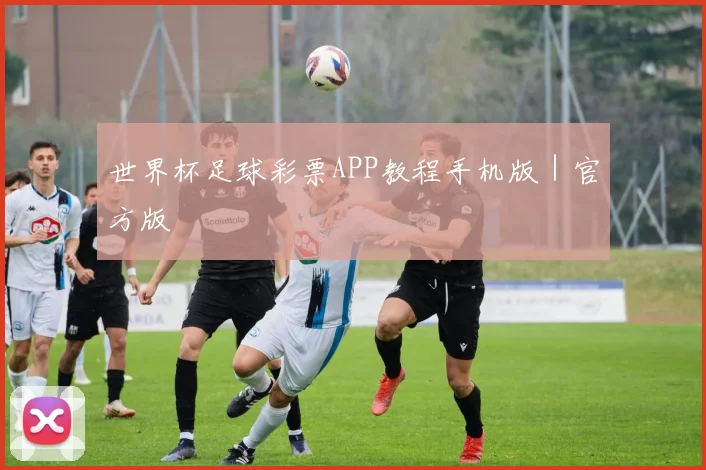 世界杯足球彩票APP教程手机版｜官方版