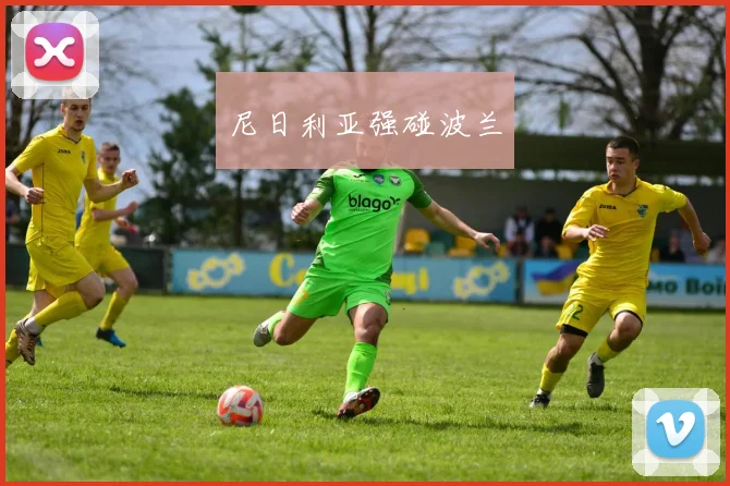 尼日利亚强碰波兰
