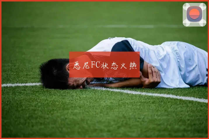 悉尼FC状态火热