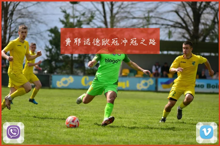 费耶诺德欧冠冲冠之路