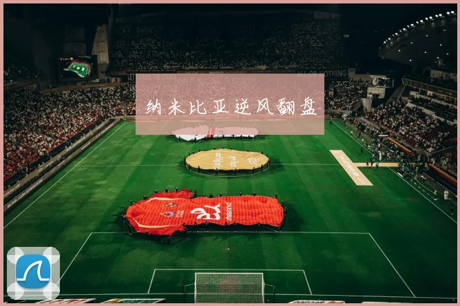 纳米比亚逆风翻盘
