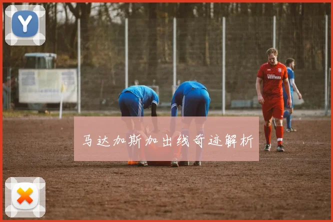 马达加斯加出线奇迹解析