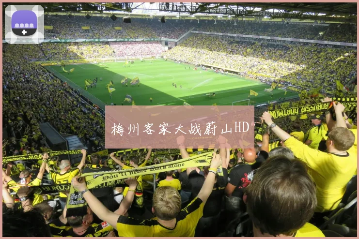 梅州客家大战蔚山HD