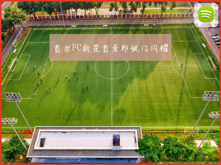 首尔FC新星首秀即破门闪耀
