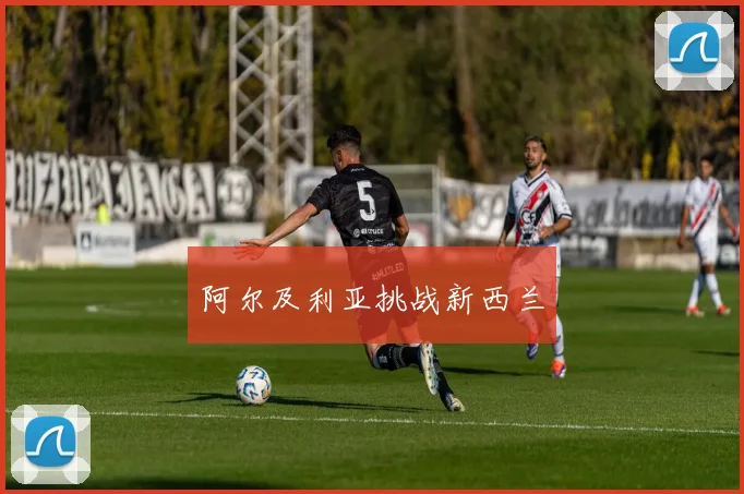 阿尔及利亚挑战新西兰
