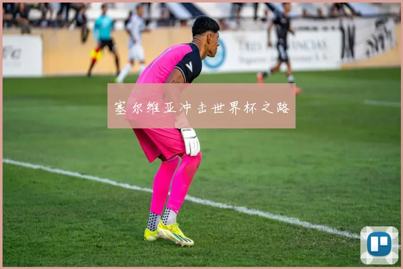 塞尔维亚冲击世界杯之路