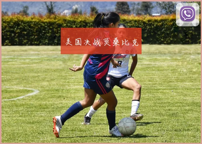 美国决战莫桑比克