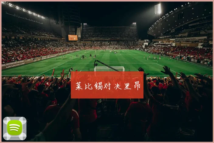 莱比锡对决里昂