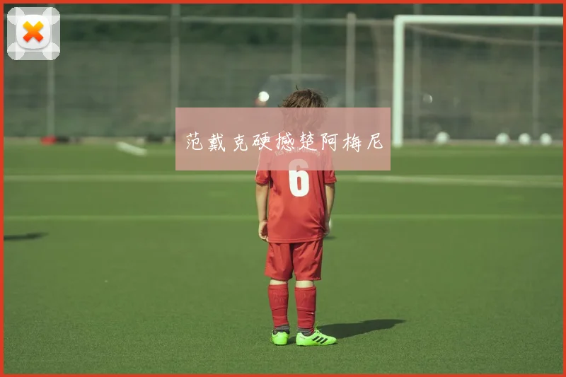 范戴克硬撼楚阿梅尼