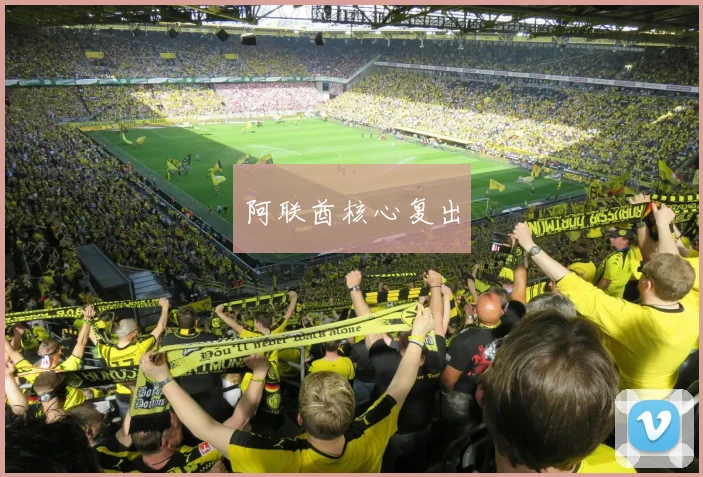 阿联酋核心复出