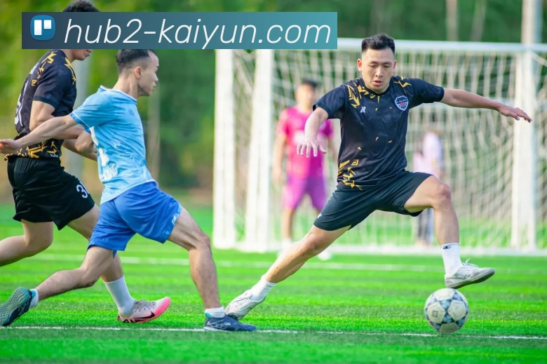 开云Kaiyun手机在线登入App下载