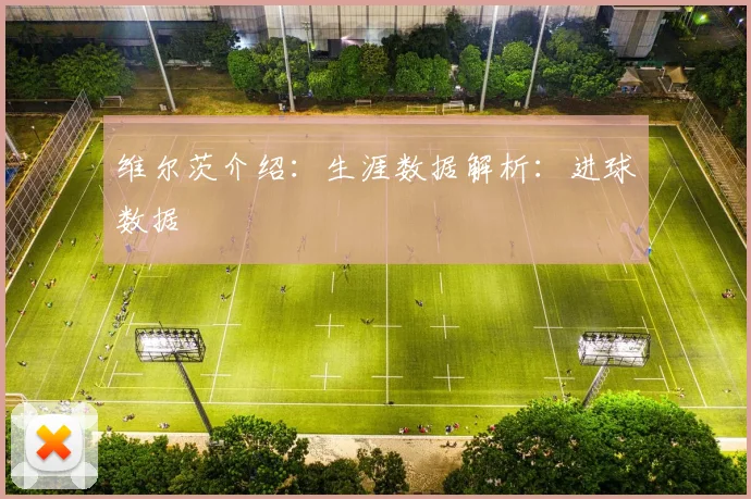 维尔茨介绍：生涯数据解析：进球数据