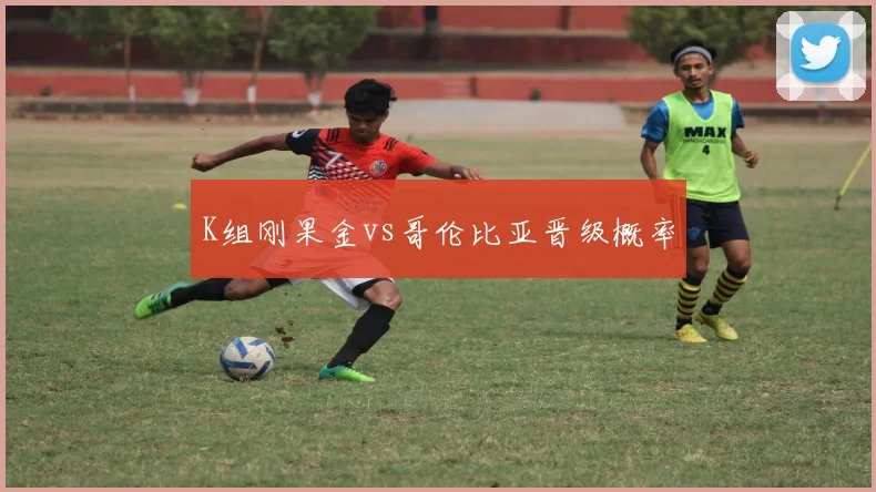 K组刚果金vs哥伦比亚晋级概率